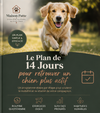 Le plan de 14 jours pour retrouver un chien plus actif