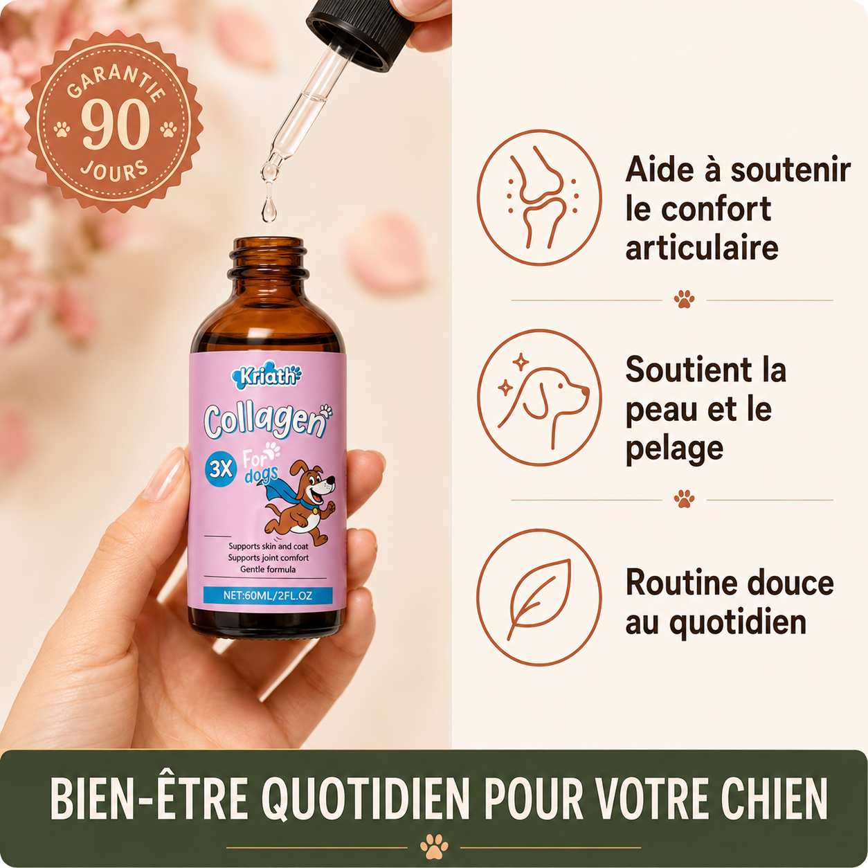 Collagène Marin pour Chiens