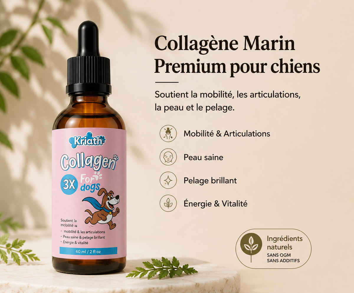 Collagène Marin pour Chiens