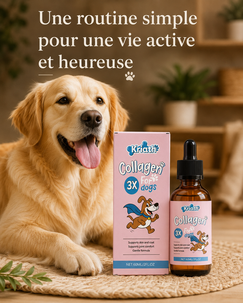 Collagène Marin pour Chiens