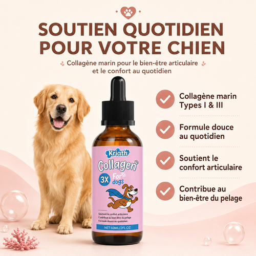 Collagène Marin pour Chiens