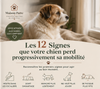 Les 12 signes de perte de mobilité