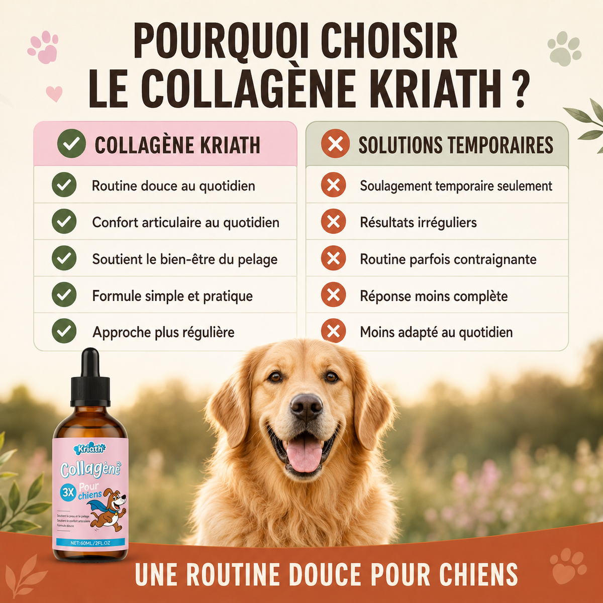 Ingrédients collagène pour chiens