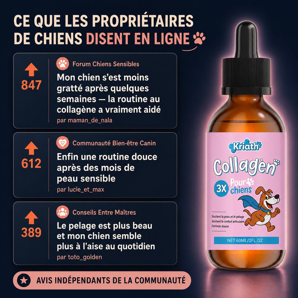 Comparaison collagène pour chiens