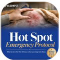 Hot Spot Emergency Protocol