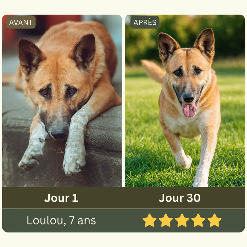 Exemple de mise en page avant et après