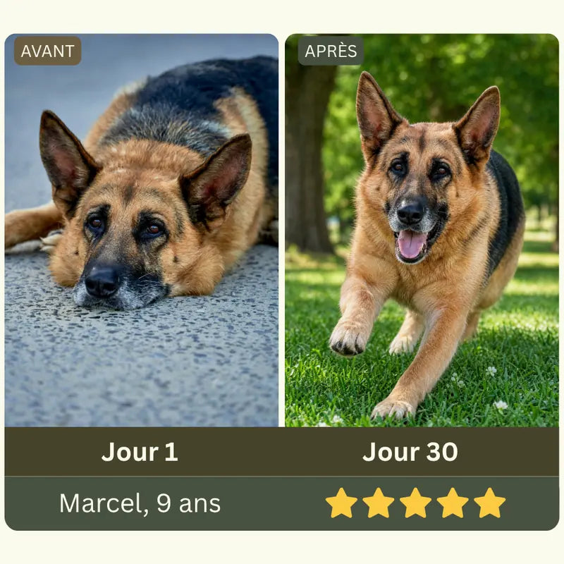 Exemple de mise en page d’une expérience client