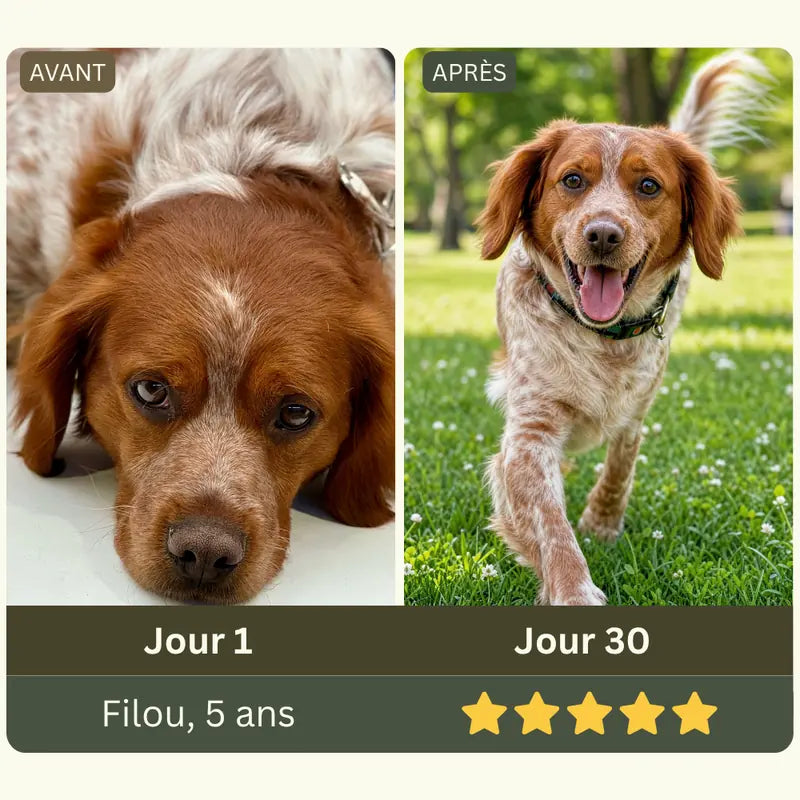 Exemple de mise en page peau et pelage